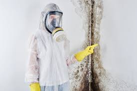 Mold Odor Removal Services in Wilton Center, CT